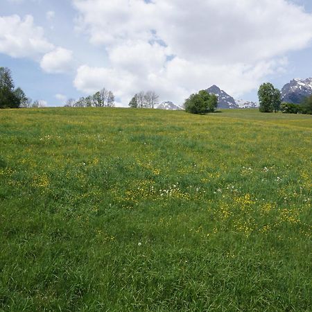 Pension & Appartements Anny Maria Alm am Steinernen Meer Exterior photo
